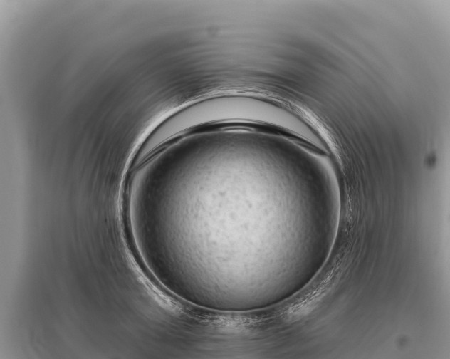 X0000096190803200801251239