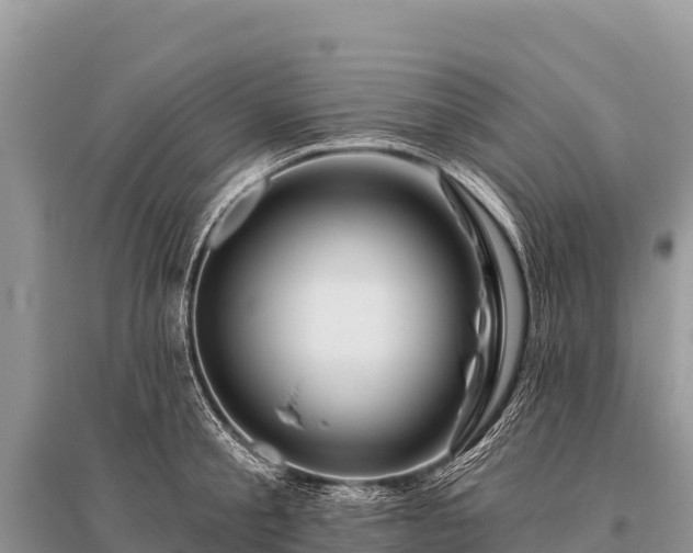 X0000096190805200801251239