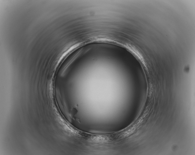 X0000096190806200801251239