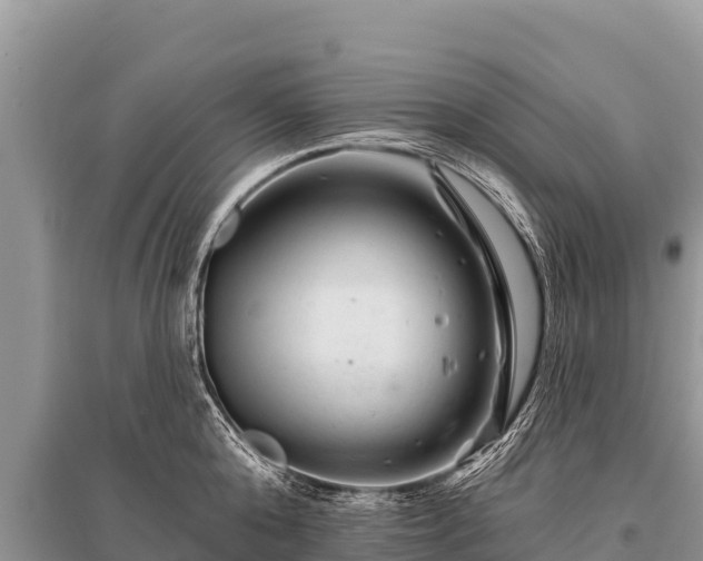 X0000096190808200801251239