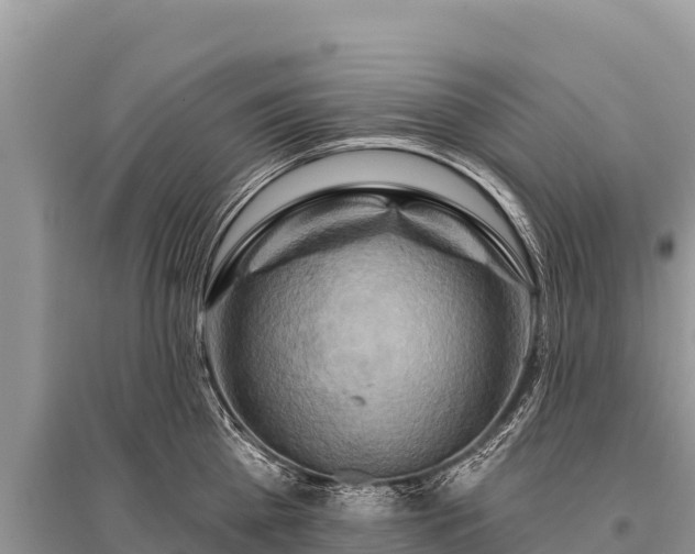 X0000096190809200801251239