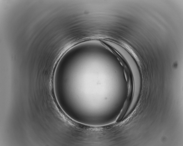 X0000096190810200801251239
