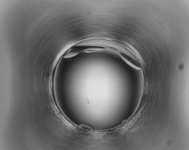 X0000096190812200801251239