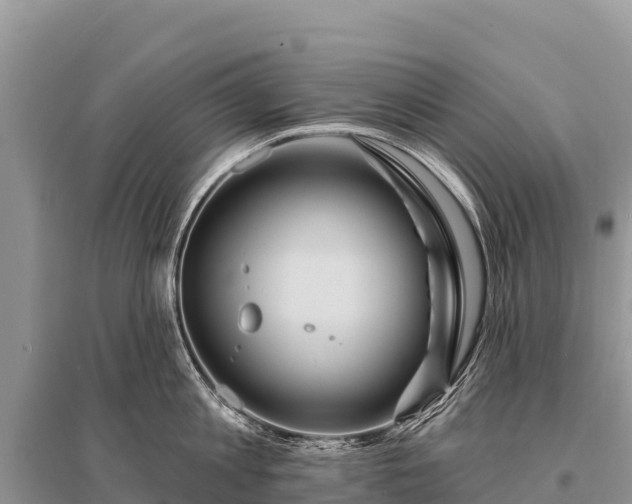 X0000096190813200801251239
