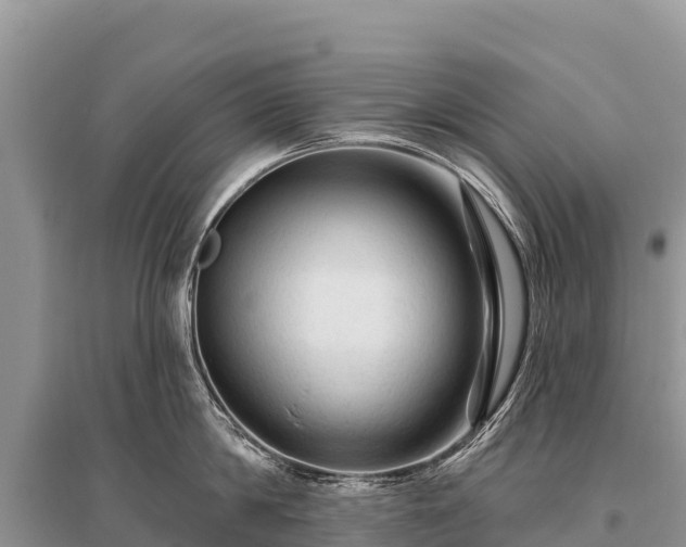 X0000096190814200801251239