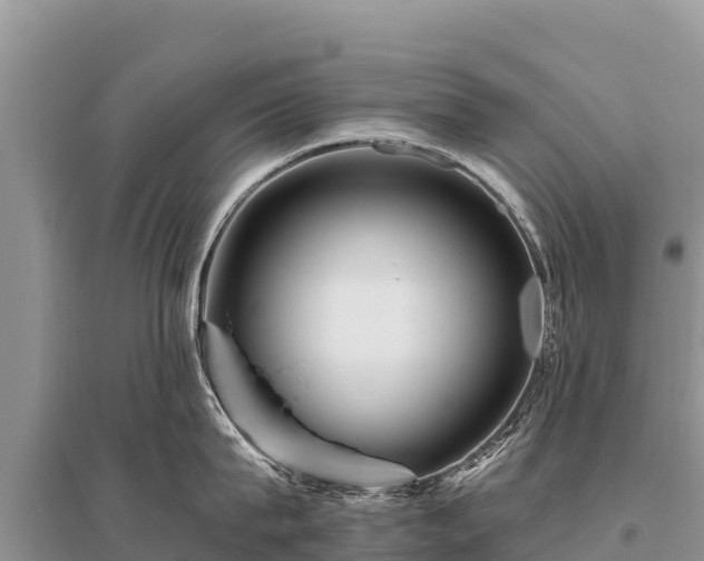 X0000096190815200801251238