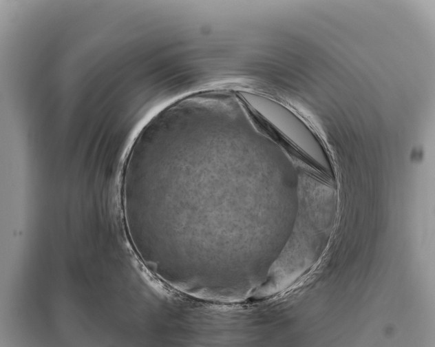 X0000096190816200801251238
