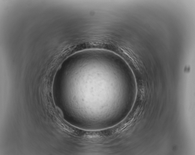 X0000096190817200801251238