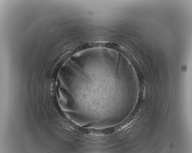 X0000096190818200801251238