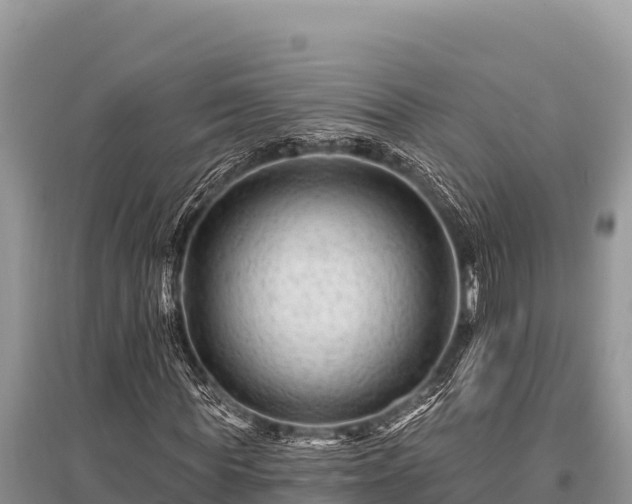 X0000096190819200801251238