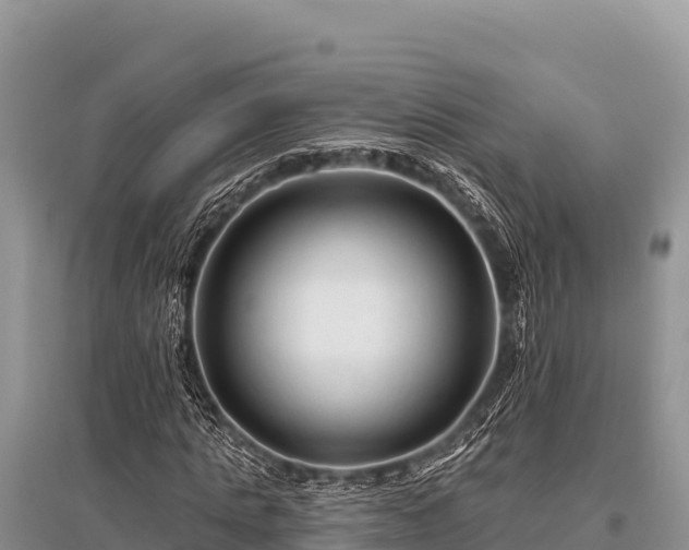 X0000096190821200801251238