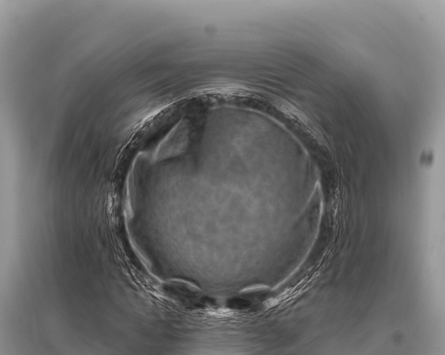 X0000096190822200801251238