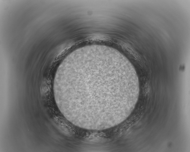 X0000096190824200801251238