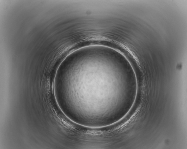 X0000096190825200801251238