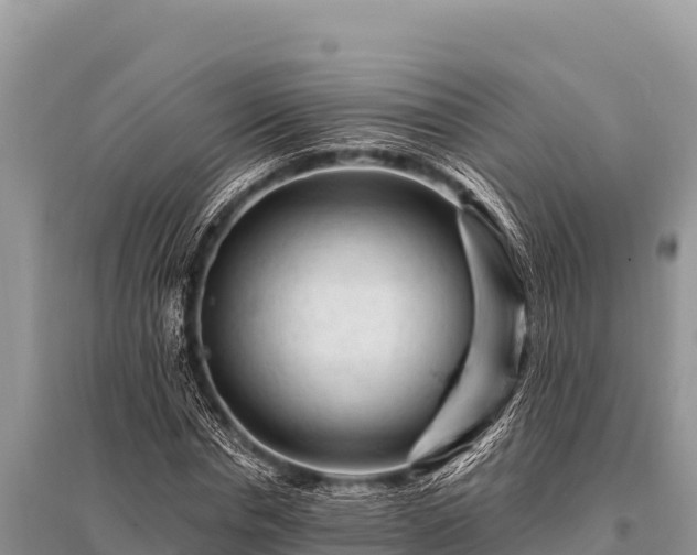 X0000096190826200801251238