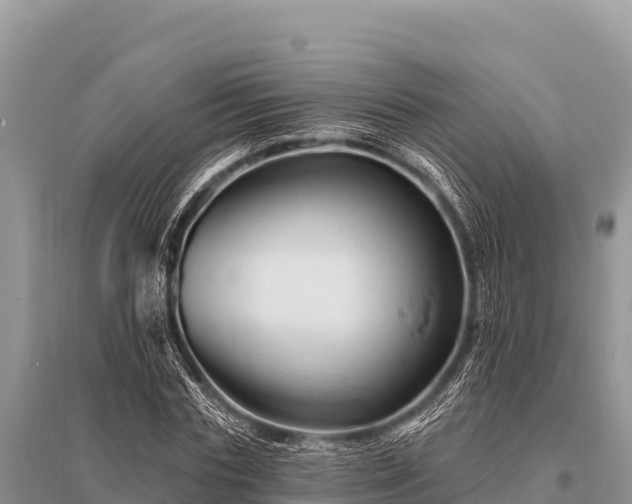 X0000096190827200801251238