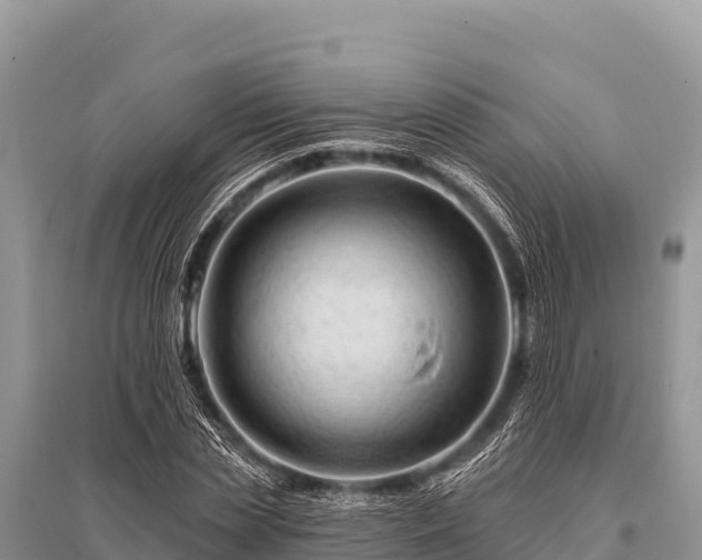 X0000096190829200801251238