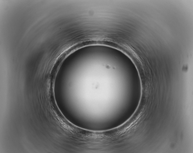 X0000096190831200801251238