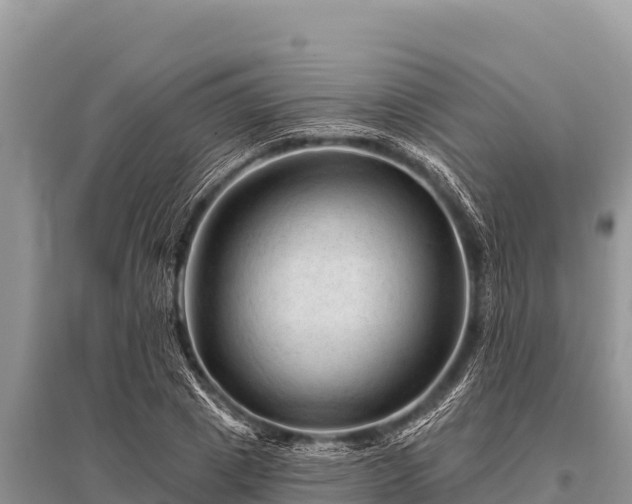 X0000096190833200801251238