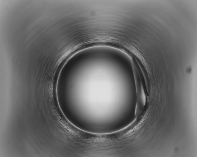 X0000096190834200801251238
