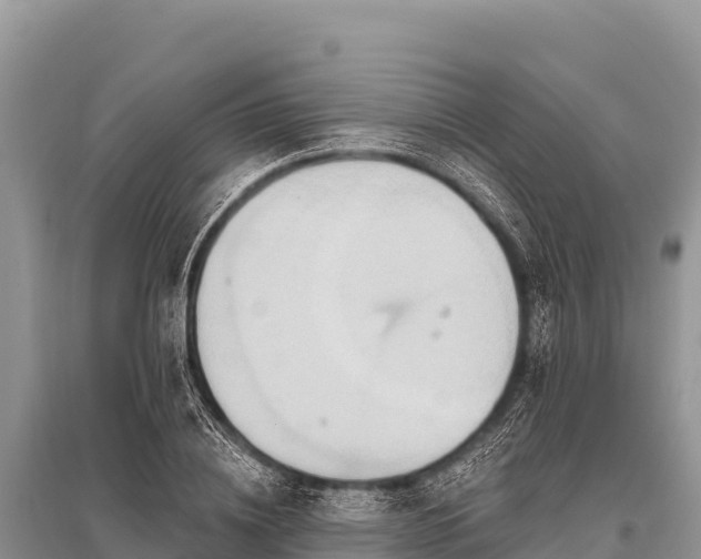X0000096190836200801251238