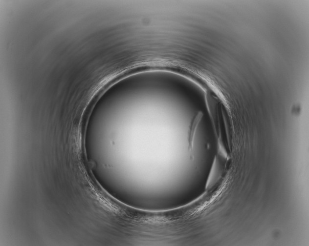 X0000096190837200801251238