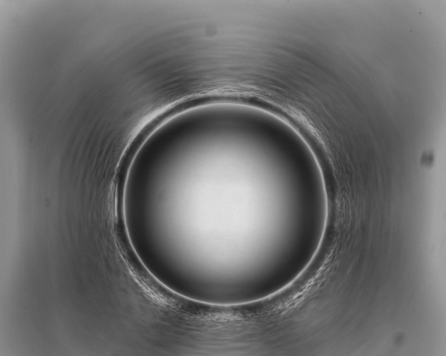 X0000096190838200801251238