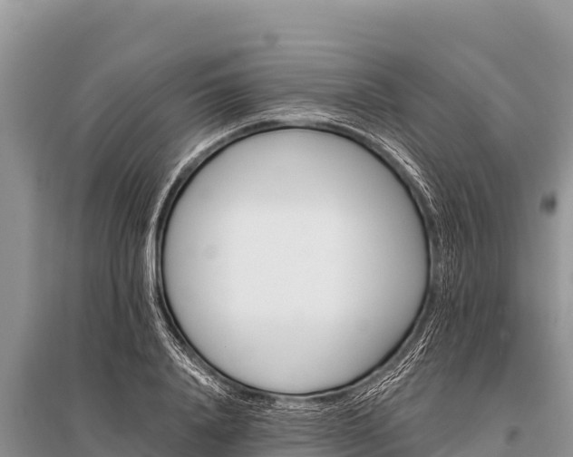 X0000096190840200801251238