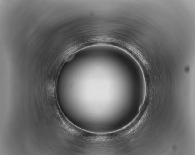 X0000096190841200801251238