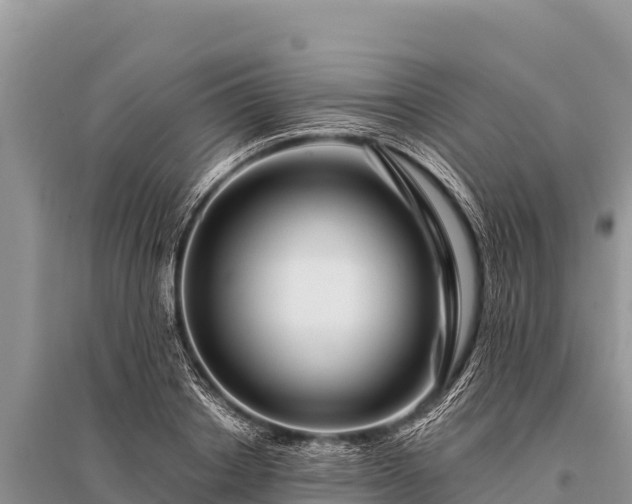 X0000096190842200801251238