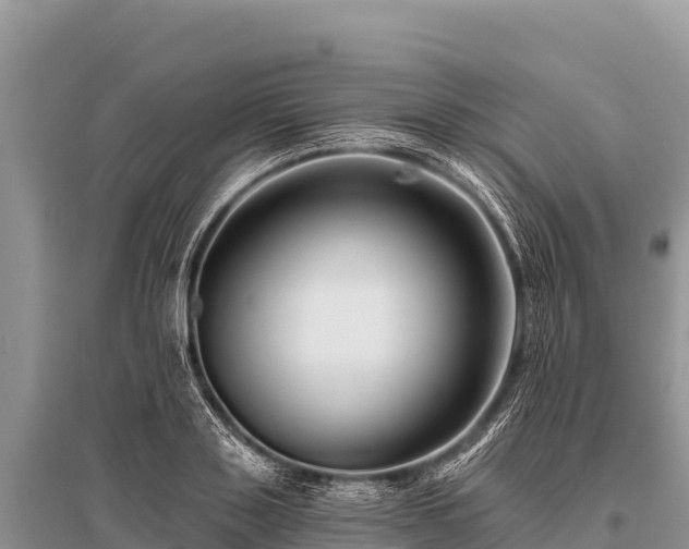 X0000096190843200801251238