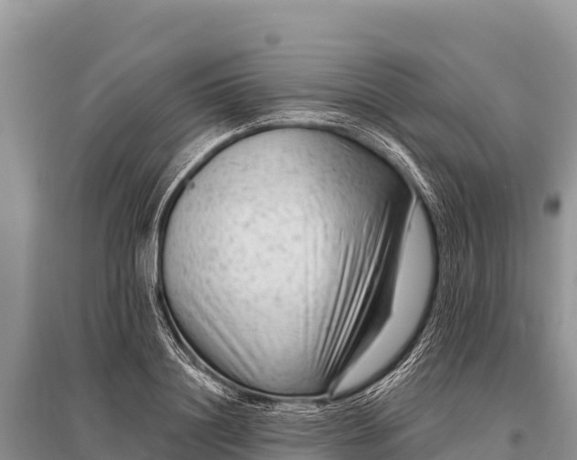 X0000096190844200801251238