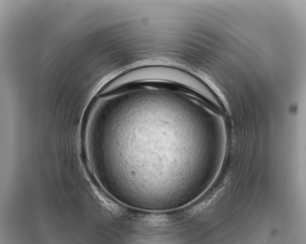 X0000096190845200801251238