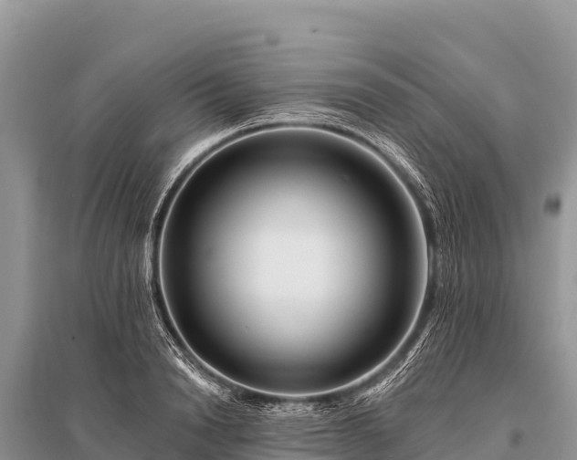 X0000096190846200801251238