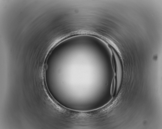 X0000096190847200801251238
