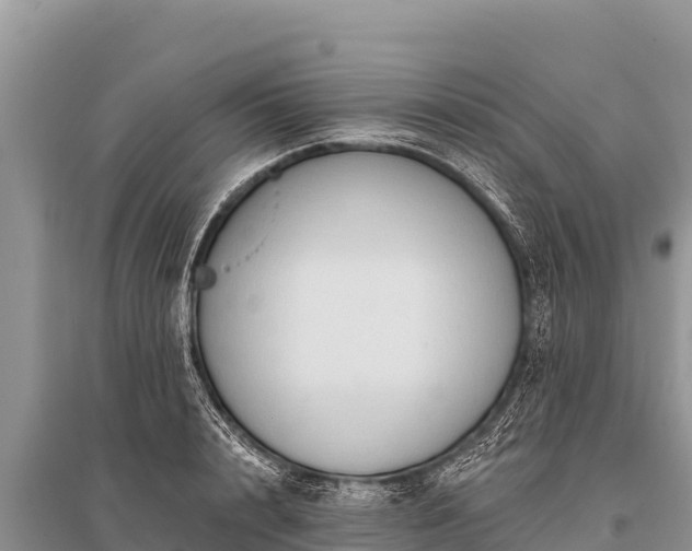 X0000096190848200801251238