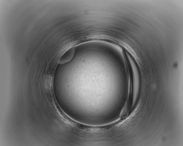 X0000096190849200801251238