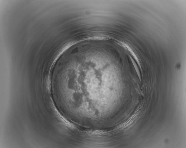 X0000096190851200801251238