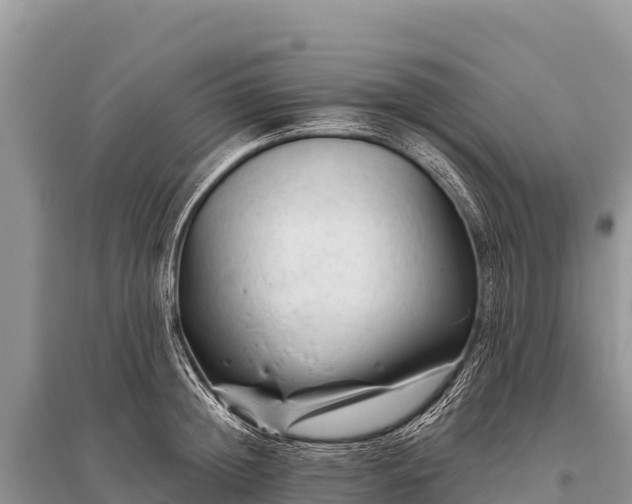 X0000096190852200801251238