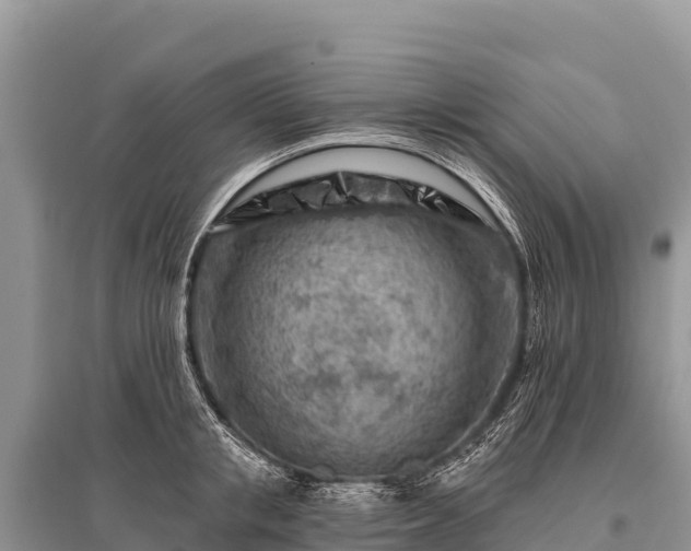 X0000096190853200801251238