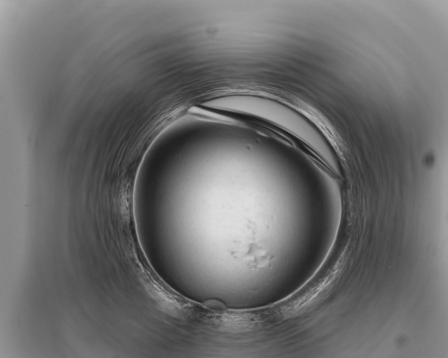 X0000096190857200801251238