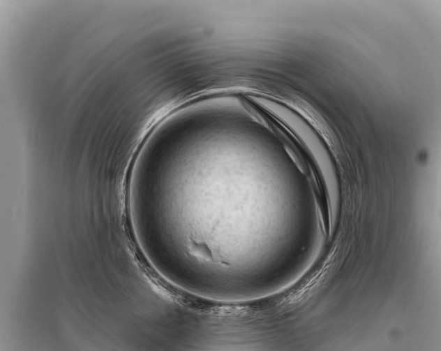 X0000096190858200801251238