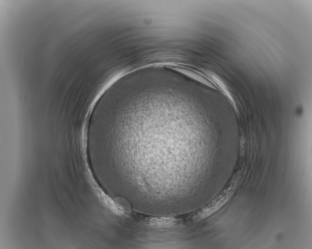 X0000096190859200801251238