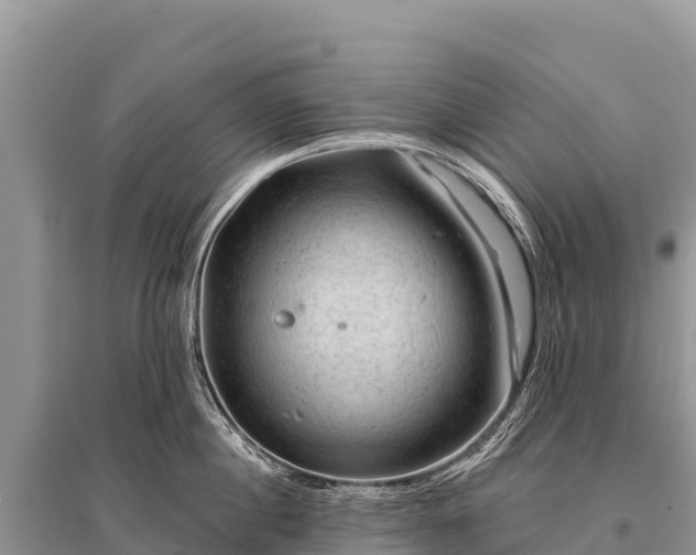 X0000096190860200801251238