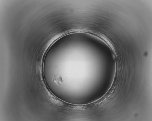 X0000096190861200801251238