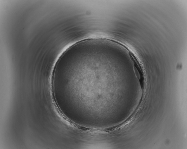 X0000096190864200801251238