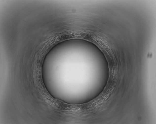 X0000096190865200801251238