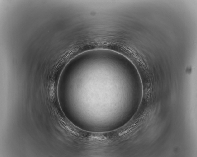X0000096190866200801251238