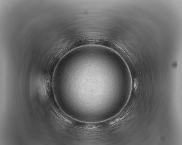 X0000096190867200801251238