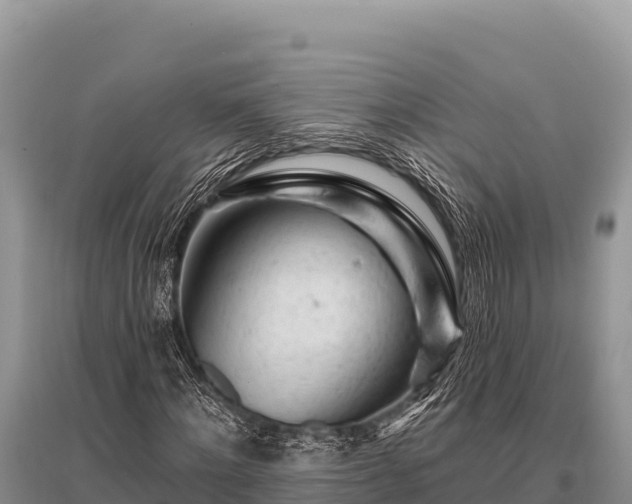 X0000096190868200801251238